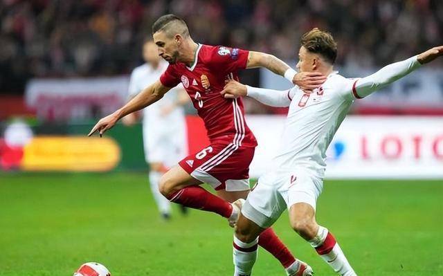 阿尔巴尼亚对波兰比赛中断