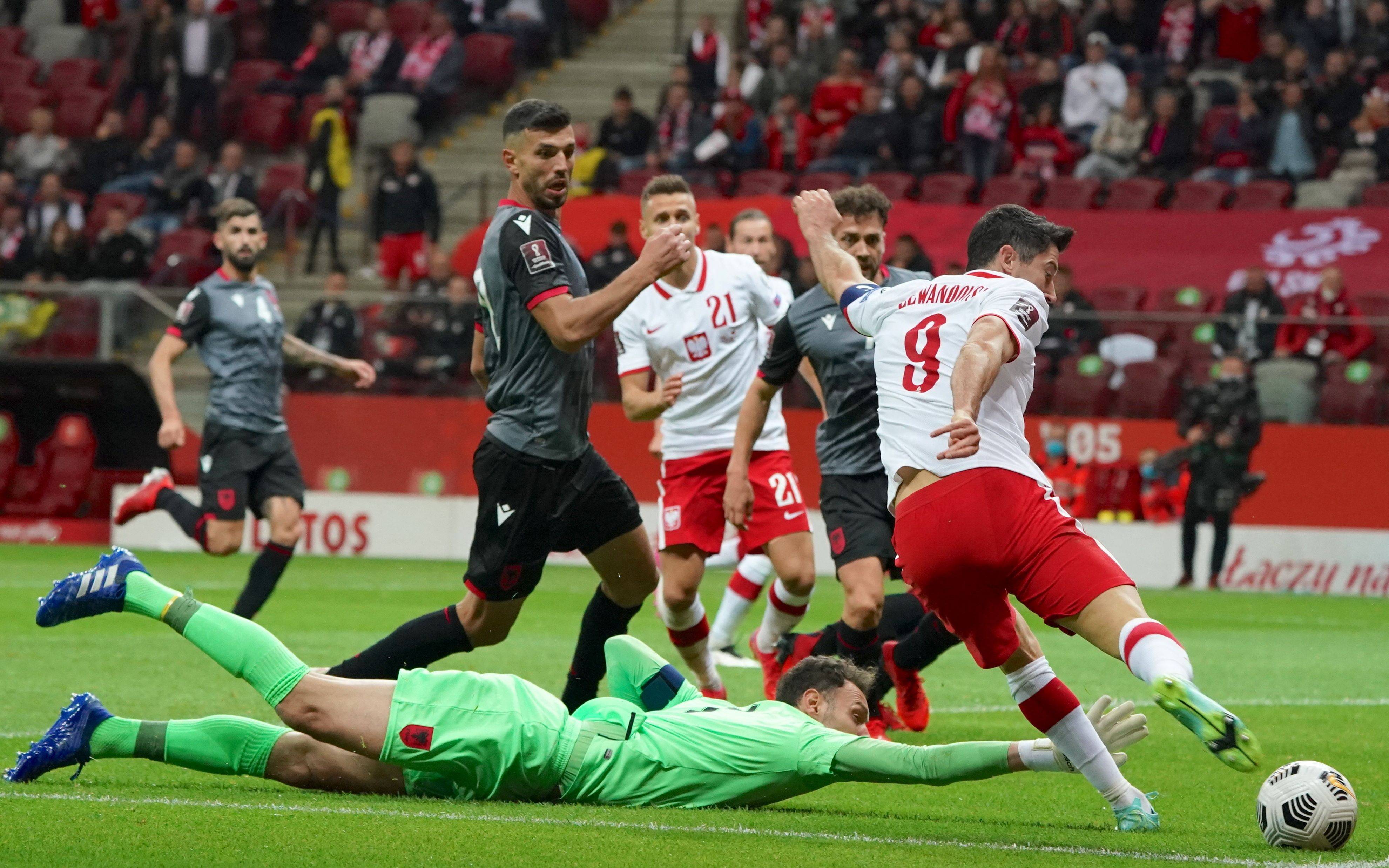 阿尔巴尼亚对波兰比赛中断